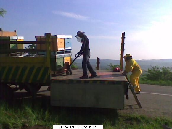 apislav - Foto de la descarcare stupi paletizati. Am - PAGINI PERSONALE ! CINE SUNT EU ?