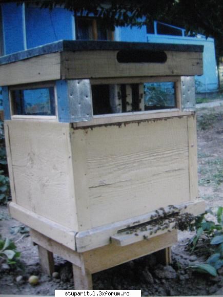 astept comentarii la doi stupi experimentali - am construit doi stupi cu - ECHIPAMENTE SI UTILAJE APICOLE