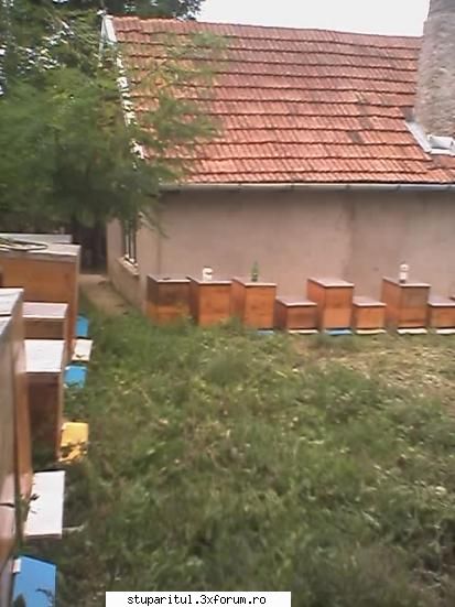 ati mai vazut asa ceva? - axor - POZE