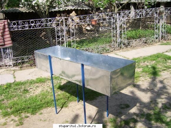 banc de descapacit la 50 ron - Zip2006 - POZE