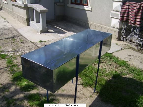 banc de descapacit la 50 ron - Zip2006 - POZE