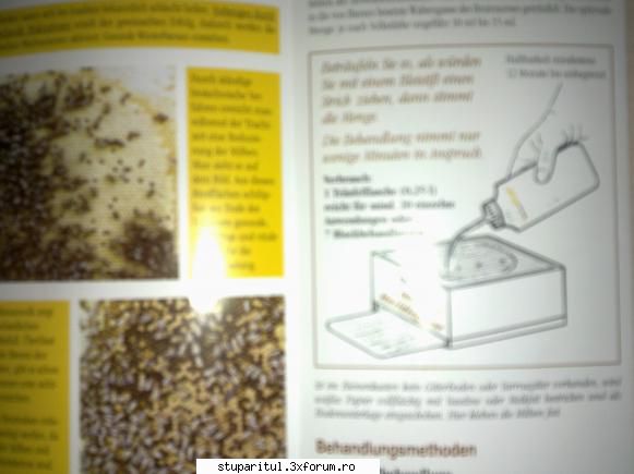 bienen wohl - nicu has - BOLI SI DAUNATORI - TRATAMENTE