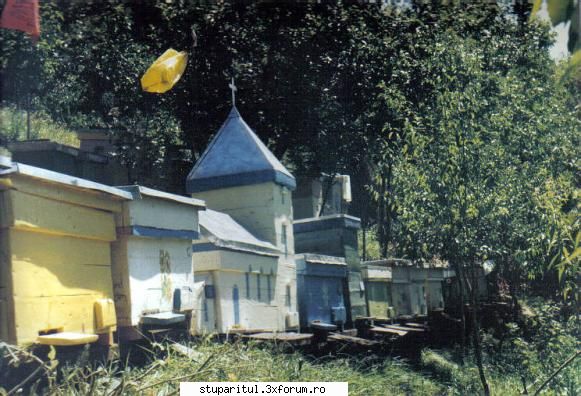 biserica albinelor - stupii construiti de mine - Credinta in Dumnezeu , dragoste si respect pt - POZE