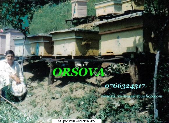 biserica albinelor - stupii construiti de mine - LA MULTI ANI 2008 cu sanatate fericire viata - POZE