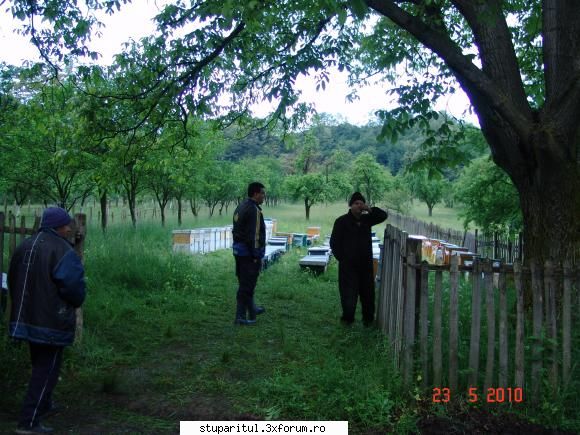 camp de tavaleala psihica cu janese - S�mbătă noaptea am plecat - BATTLEFIELD - CAMP DE LUPTA