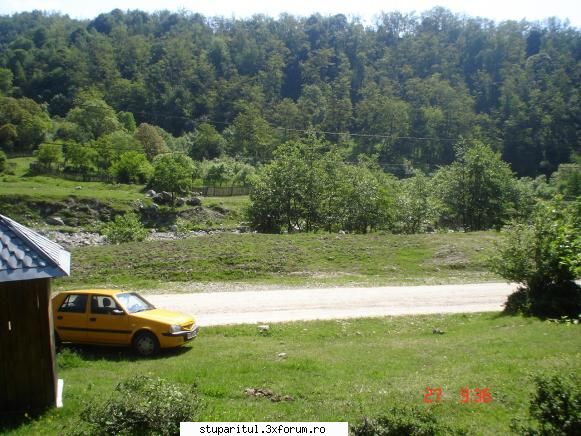 camp de tavaleala psihica cu janese - Unde ai albinele acum in cantonament? - BATTLEFIELD - CAMP DE LUPTA
