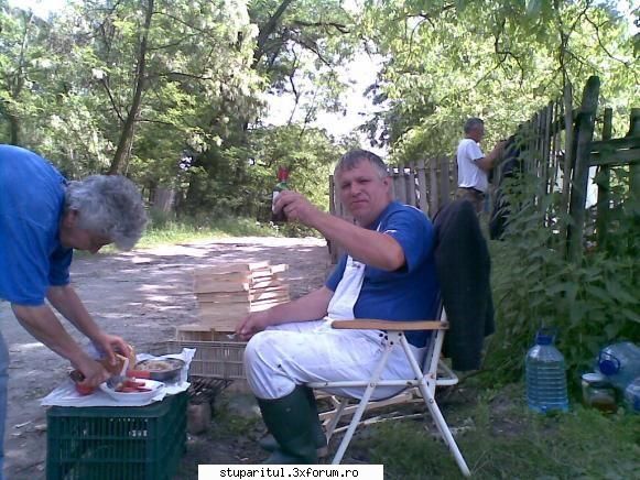 camp de tavaleala psihica cu janese - Mai bag si eu un ochi pe aciulea ,pe - BATTLEFIELD - CAMP DE LUPTA