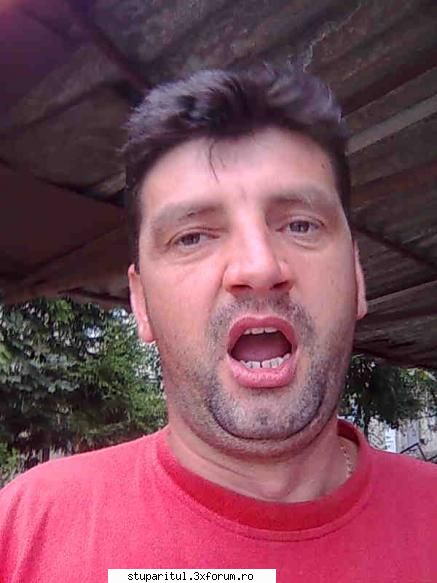 camp de tavaleala psihica cu janese - s-a o luam incet ..intai sa dam o - BATTLEFIELD - CAMP DE LUPTA