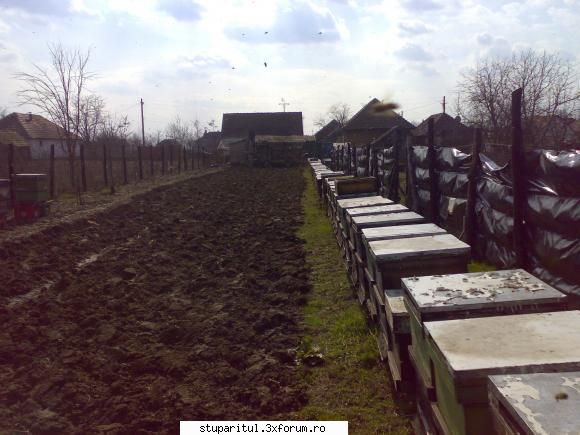 camp de tavaleala psihica cu janese - janese a scris: janese a scris: alta sacu - BATTLEFIELD - CAMP DE LUPTA