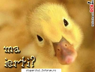 cand se pleaca la rapita ? - in prahova a inceput sa infloreasca - DISCUTII APICOLE DIVERSE