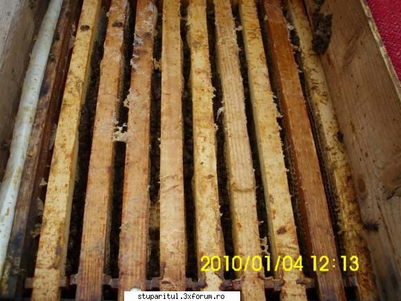 cat ocupa ghemul de iernare pe ramele din cuib? - Bunka:.... la astia care folosesc - INTRETINEREA ALBINELOR