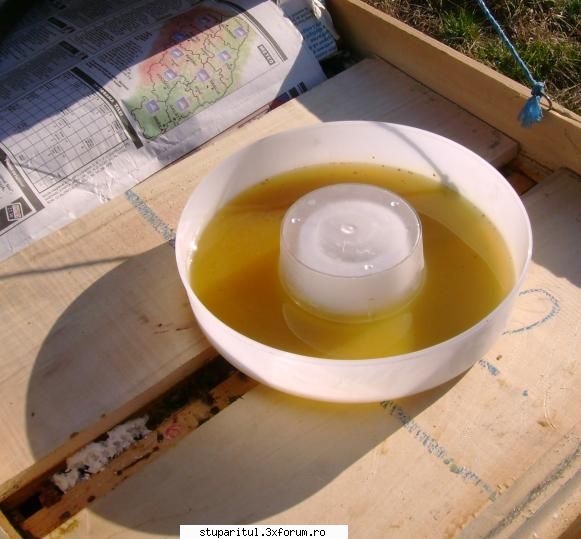 cat sirop consuma pe zi ? - foto pt descrierea de mai sus - HRANIREA ARTIFICIALA