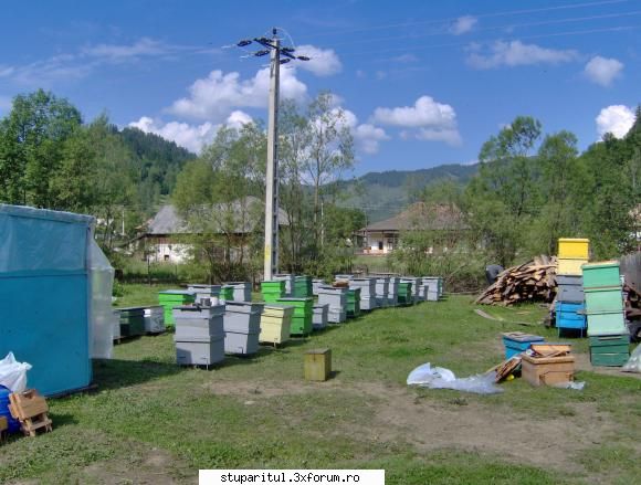 cateva fotografii - genutzu - POZE