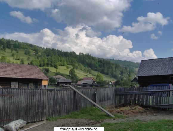 cateva fotografii - genutzu - POZE