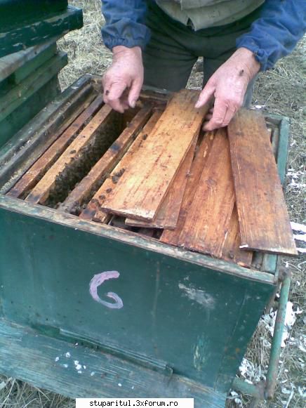 ce-am lucrat vara aceasta - azi, 05 martie 2011, la stupina cu tata.poze - PAGINI PERSONALE ! CINE SUNT EU ?