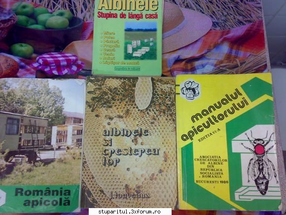 cine e mavro - mavro - PAGINI PERSONALE ! CINE SUNT EU ?