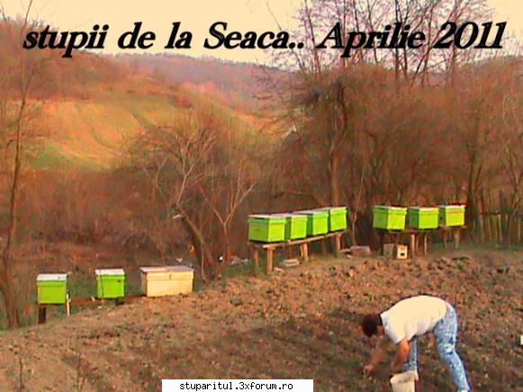 cine sunt eu-Cornel V. - seaca/logresti - PAGINI PERSONALE ! CINE SUNT EU ?