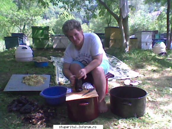 cine sunt eu?dorel66 - gata cu fotosinteza ma face muierea vegetarian - PAGINI PERSONALE ! CINE SUNT EU ?