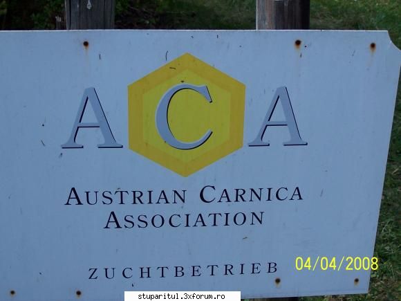 ciocansebi - A.C.A. dar ceva de calitate..nu...comedie cum - PAGINI PERSONALE ! CINE SUNT EU ?
