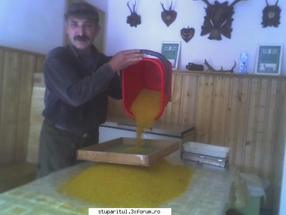 colector polen "tip Oros" ? - Donbazil - PLANURI....PLANURI....PLANURI.....