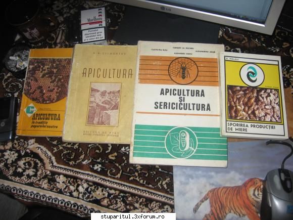 creare roi nou - saptamana care-a trecut am dat pe la biblioteca - PAGINA APICULTORULUI INCEPATOR