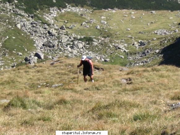 cu Loganul la munte si la mare - a doua zi ... la picior spre Varful Caltun (de pe - CALATORII SI INTALNIRI