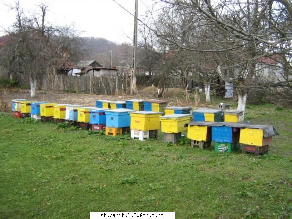cu ce vopsim stupii - dragi colegi astazi am vazut si eu aceste discuti - DISCUTII APICOLE DIVERSE