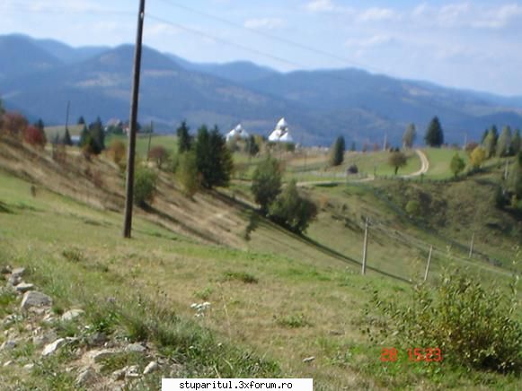 cum merge muntele?? - Buna, sunt din SUCEAVA, am 20 de stupi LEINZ, pe - INTRETINEREA ALBINELOR