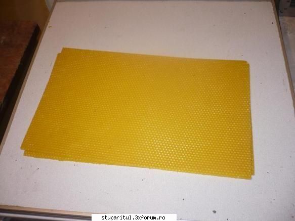 despre fagurii de plastic - ghituica - ECHIPAMENTE SI UTILAJE APICOLE