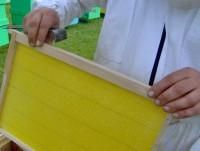 despre fagurii de plastic - RASPUNS PENTRU D-L GHITUICA d-le ghituica - ECHIPAMENTE SI UTILAJE APICOLE