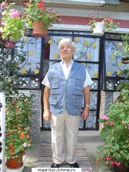 disparitia subita a unei familii de albine - Dragi apicultori, ma confrunt cu un - DISCUTII APICOLE DIVERSE