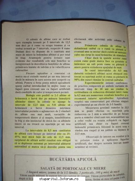 distanta dintre rame - drone1952 - INTRETINEREA ALBINELOR