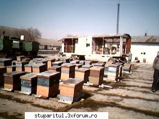 diverse - cum credeti ca va fi acest an pentru noi - POZE