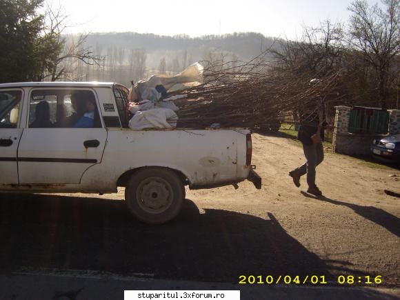 doar o fapta sa-ti mai spun - azi, ne-am imbracat frumos....ne-am spovedit verde - DISCUTII APICOLE DIVERSE