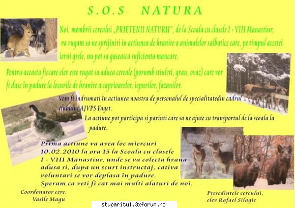 doar o fapta sa-ti mai spun - Sal'tare! S-au mai intamplat ...."fapte" si pe la - DISCUTII APICOLE DIVERSE