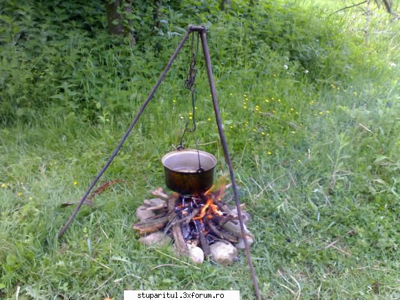 dorindafi - aragazul rustic la foc mic - PAGINI PERSONALE ! CINE SUNT EU ?
