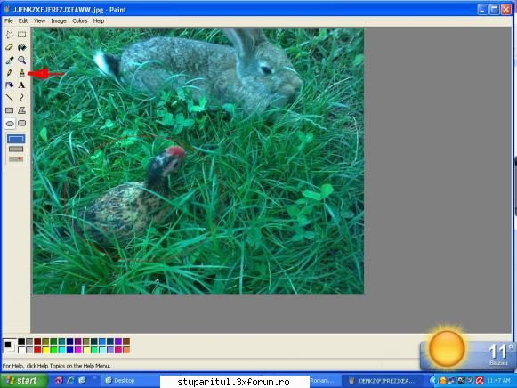 editare poze - va aparea cursorul mouse-ului ca o cruce tin - VIDEOCLIPUL SAPTAMANII