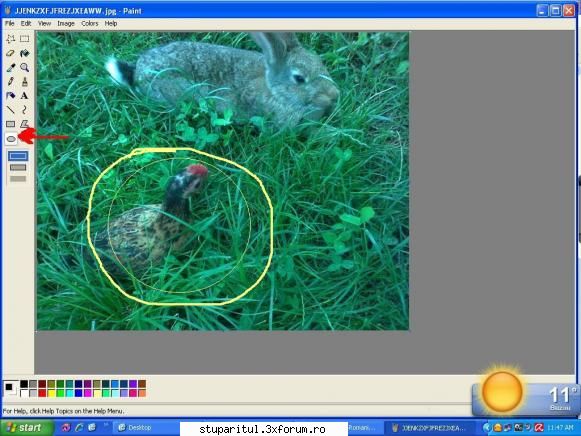 editare poze - cercul poate fi facut si cu pensula...am schimbat - VIDEOCLIPUL SAPTAMANII