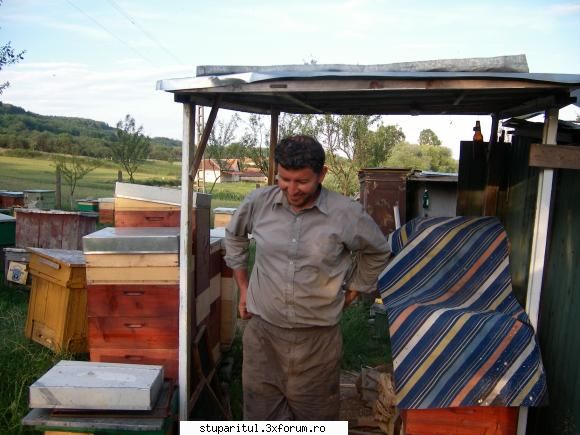 faguri de plastic - Eu zic ca daca iei legatura cu cei de la Faget - NOUTATI IN APICULTURA