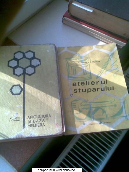 familia starter - badea.claudian - CRESTEREA MATCILOR