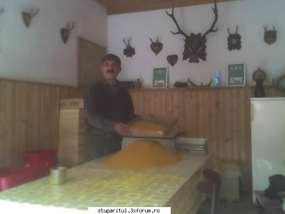 familie ajutatoare - Sal'tare! Pentru Mihai: Am cam 150kg de polen - INTRETINEREA ALBINELOR