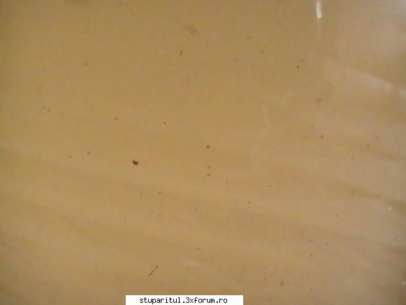 filtrarea mierii - orbanstefan64 _)_ - DISCUTII APICOLE DIVERSE