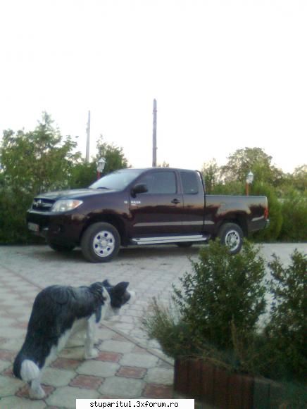 florin - Noua mea masina. HILUX, 4-D4, 2500 cmc, 120 cp - PAGINI PERSONALE ! CINE SUNT EU ?