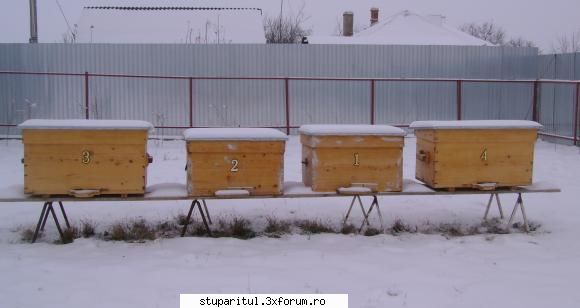 florin - Astazi, . ora 07.00 temp -19.00 C. ora 14.00 temp - PAGINI PERSONALE ! CINE SUNT EU ?