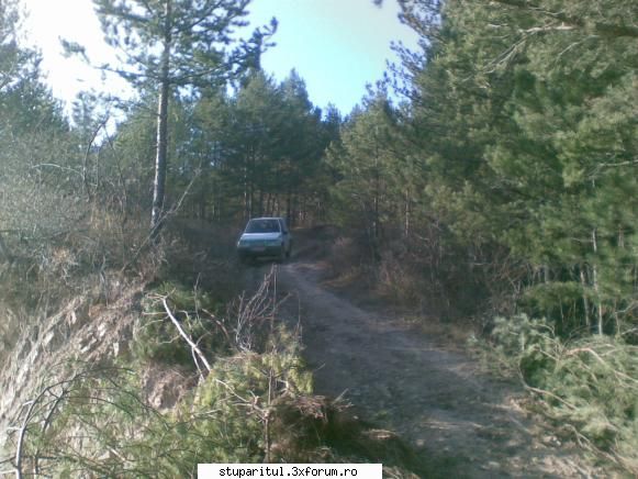 florin - foto cu Suzuki Vitara la treaba - PAGINI PERSONALE ! CINE SUNT EU ?
