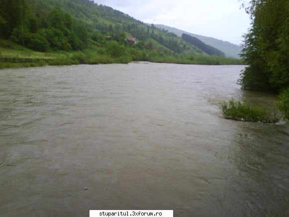 foto de la mine ... - Bistrita, a plouat destul de mult in ultima - POZE