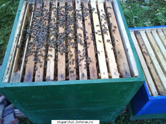 foto de la mine ... - O familie care a fost tot pe 3 corpuri, 19 rame - POZE