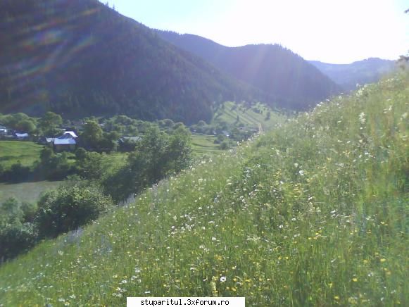 foto de la mine ... - Fotografie in apropierea locului unde am - POZE