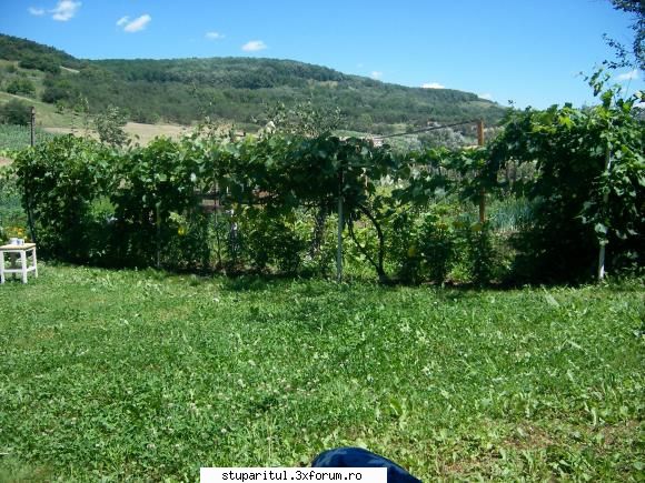 foto de la mine ... - Anul acesta, pentru ca nu au mai fost bani de - POZE