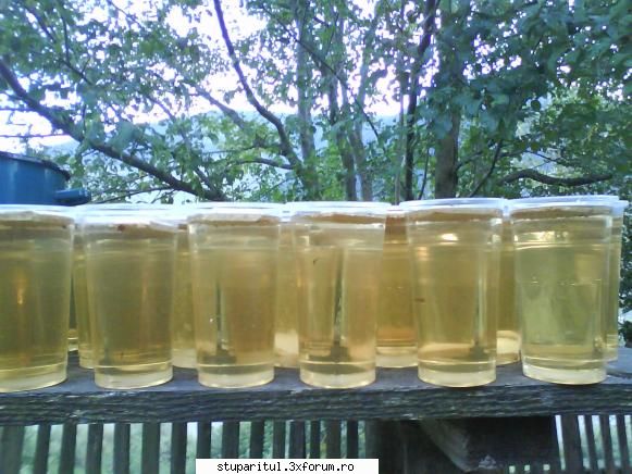 foto de la mine ... - Paharele au 400 ml, insa pline au 500 ml si sunt - POZE
